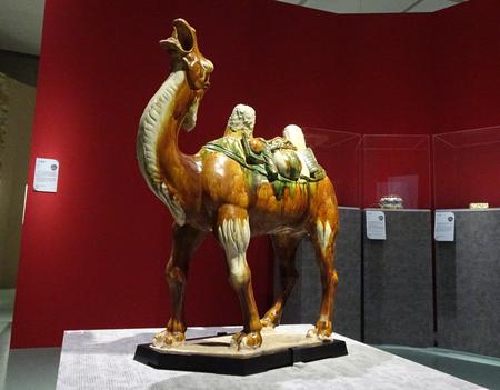 DSC02100-1.jpg
