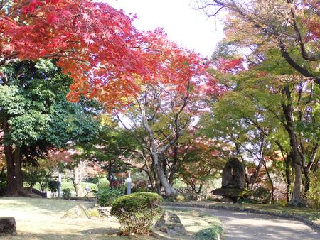 PC030327.JPG