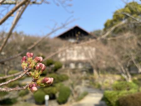 IMG_2845.jpeg