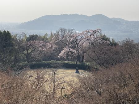 IMG_2847.jpeg