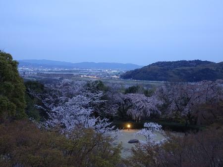 DSC04069.JPG