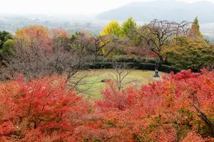 IMG_5743.JPG