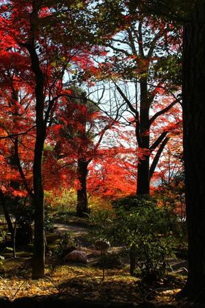 1205_niwa2.JPG