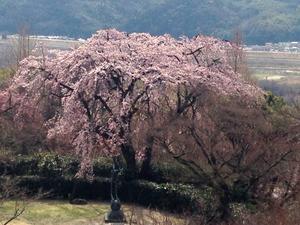 IMG_3575.jpg