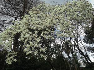 IMG_3579.jpg