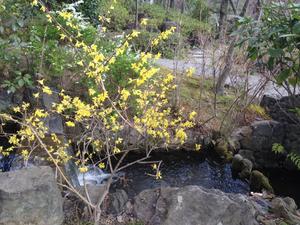 IMG_3585.jpg