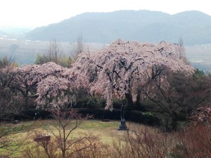 IMG_3618.jpg