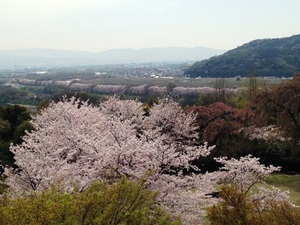 IMG_3650.jpg