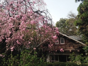 IMG_3657.jpg
