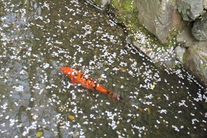 IMG_6619.JPG