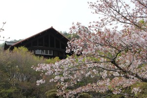 IMG_6621.JPG