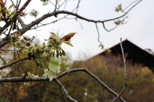 IMG_6622.JPG