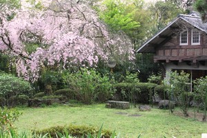 IMG_6624.JPG