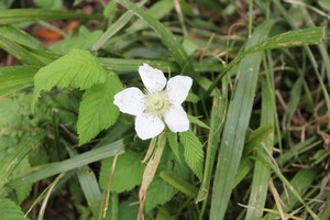 IMG_6629.JPG
