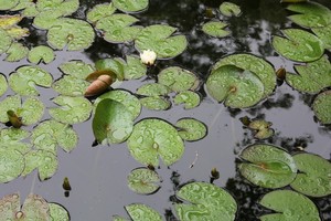 IMG_6887.JPG