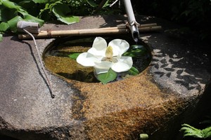 IMG_6909.JPG
