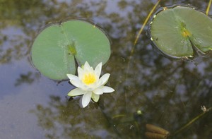 IMG_7538.JPG