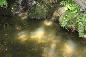 IMG_7542.JPG