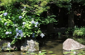 IMG_7548.JPG