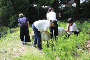 IMG_7644.JPG