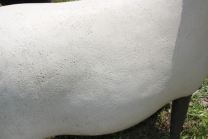IMG_7649.JPG