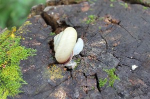 IMG_8033.JPG