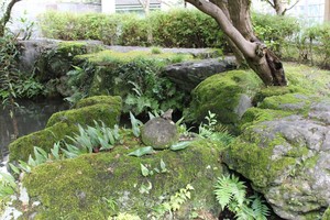 2_ushigaeru.JPG