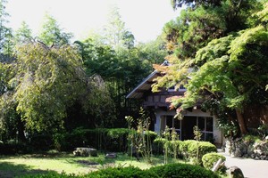IMG_8412.JPG