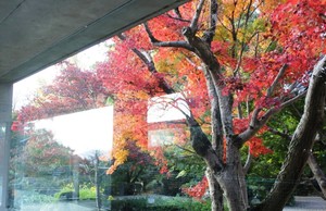 IMG_8498.JPG