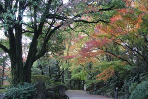 IMG_8511.JPG
