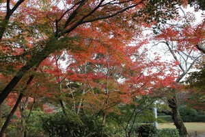 IMG_8518.JPG