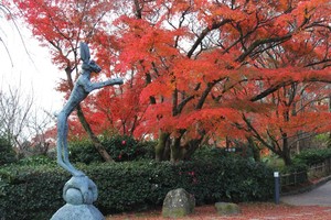 IMG_8626.JPG