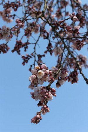 IMG_9899.JPG