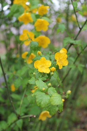 IMG_9996.JPG