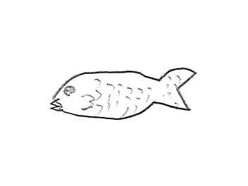 carp.jpg