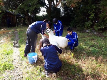 20171116_094205.jpg