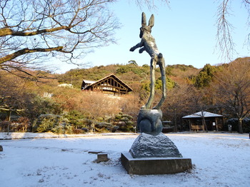 DSC00495.JPG
