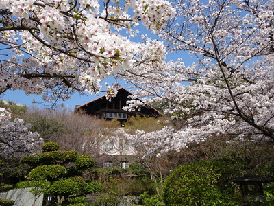 DSC01534.JPG
