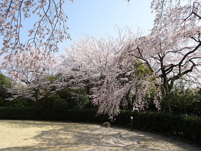 DSC01547.JPG