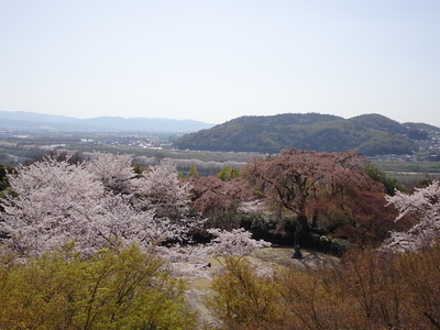 DSC01582.JPG
