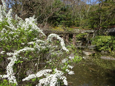 DSC01603.JPG