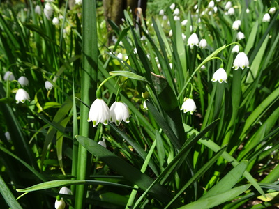 DSC01613.JPG