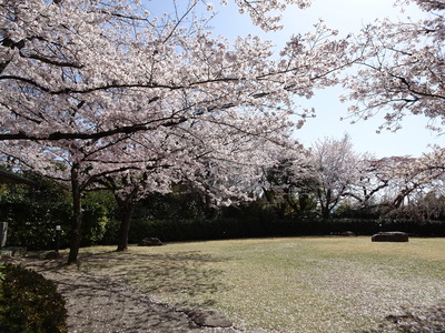 DSC01629.JPG