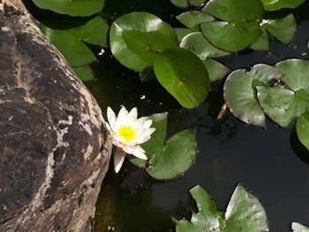 20180516_094916.jpg