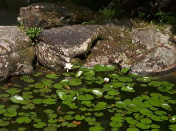 20180516_095022.jpg
