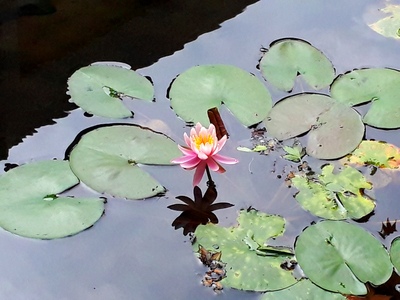 20180627_082234 .jpg