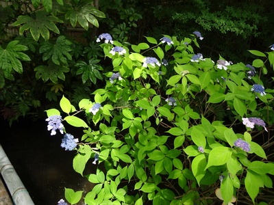 DSC01897.JPG