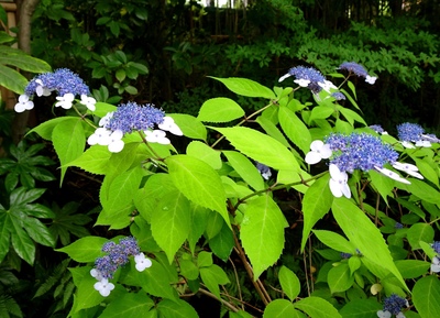 DSC01898.JPG
