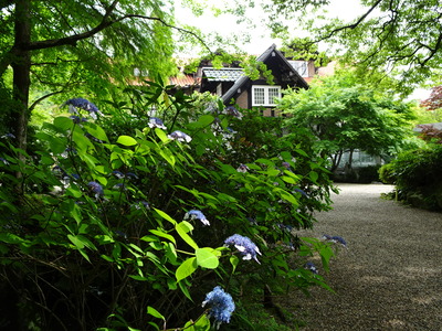 DSC01899.JPG