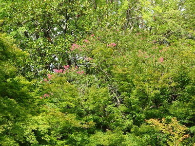 DSC02414.JPG